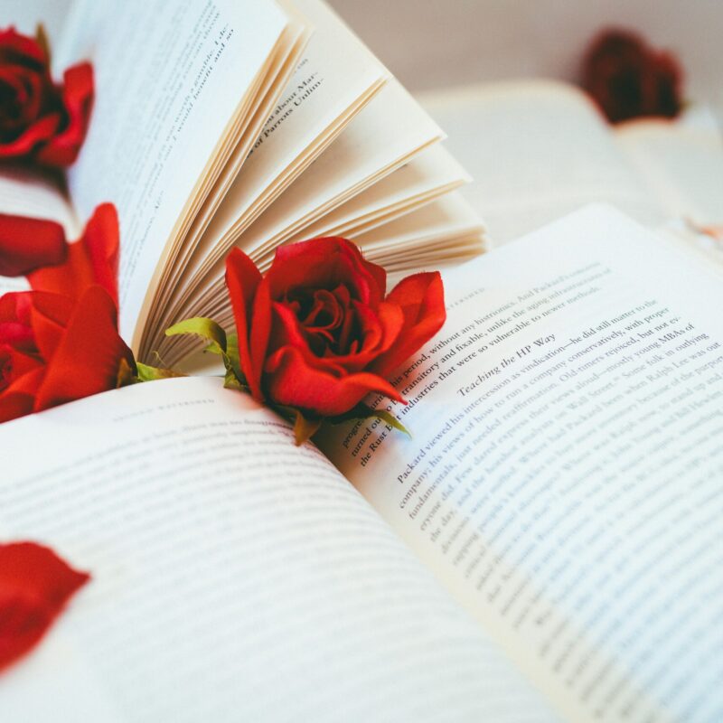 Una rosa y un libro