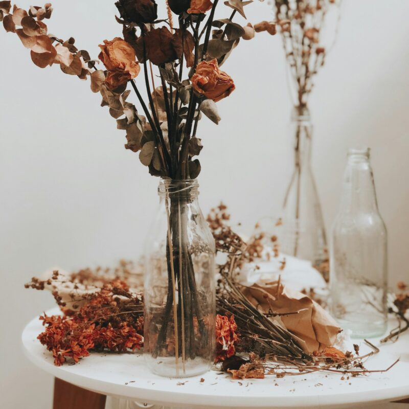 flores secas y preservadas