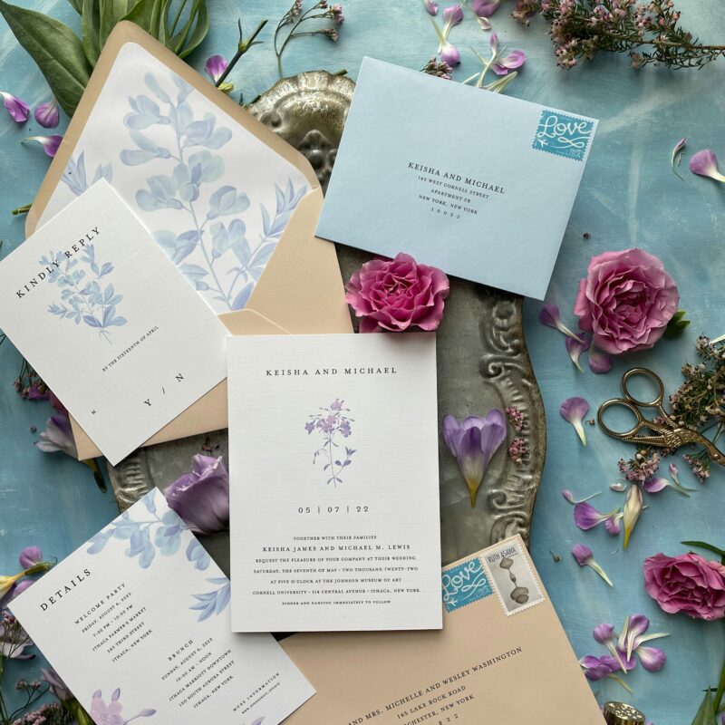 Pack de tarjetas de felicitación