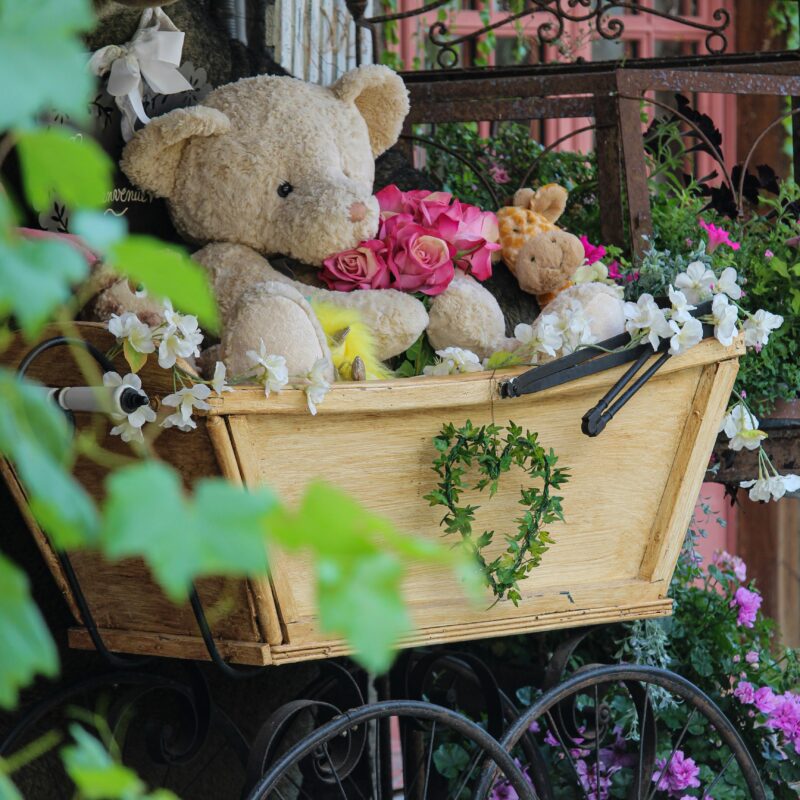 Gran regalo de nacimiento